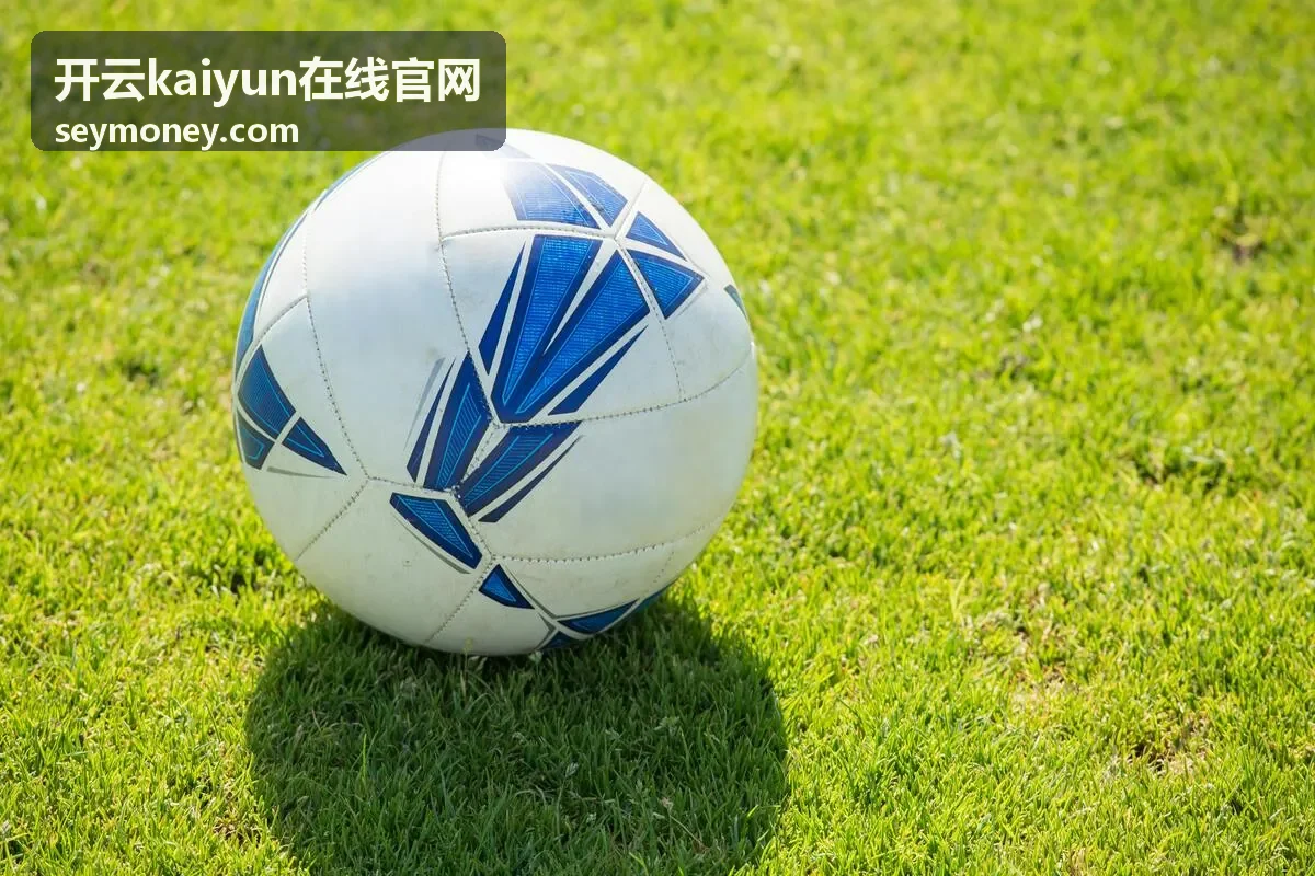 开云kaiyun在线官网账户与安全功能横幅