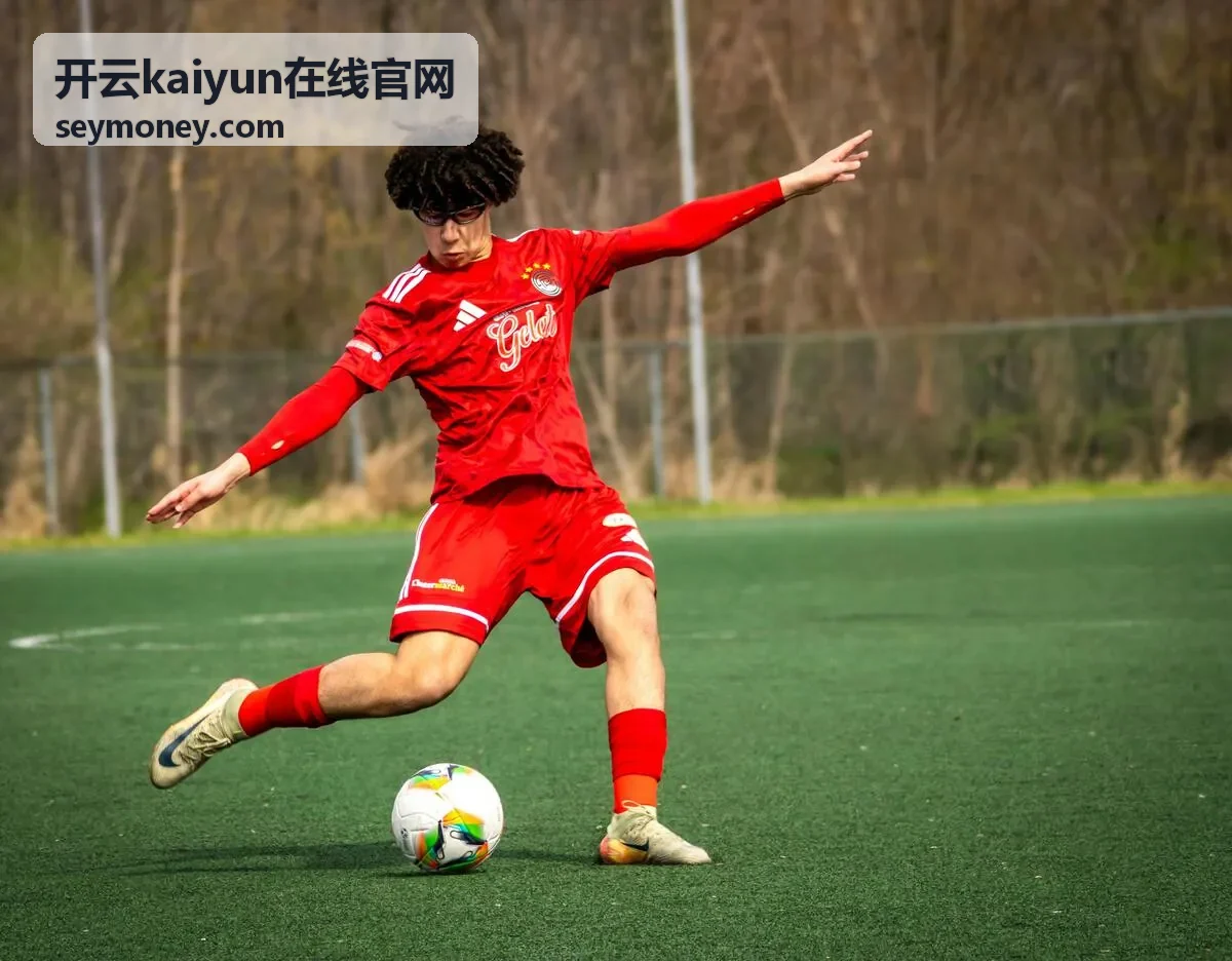 开云kaiyun在线官网账户状态核对示意