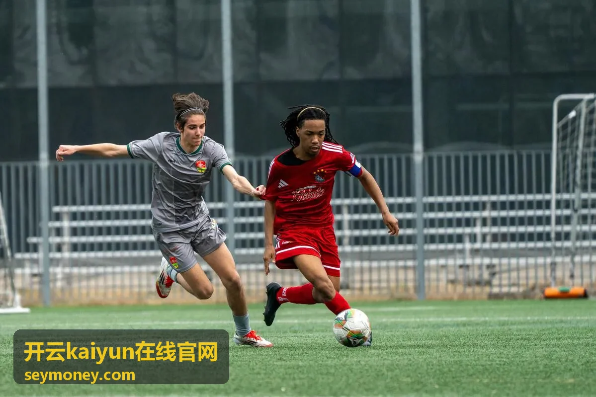 开云kaiyun在线官网账户安全设置场景