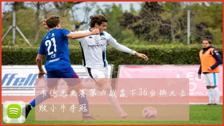 韦德总决赛第六战轰下36分热火击败小牛夺冠