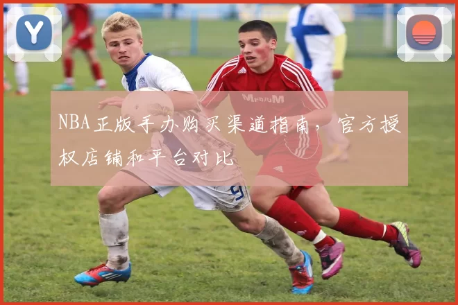 NBA正版手办购买渠道指南，官方授权店铺和平台对比