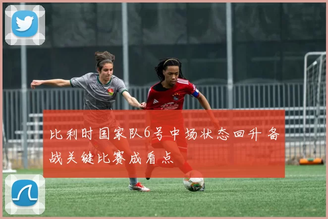 比利时国家队6号中场状态回升 备战关键比赛成看点